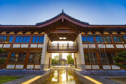 河北定州 園博會(huì)場館建設(shè)沖刺忙